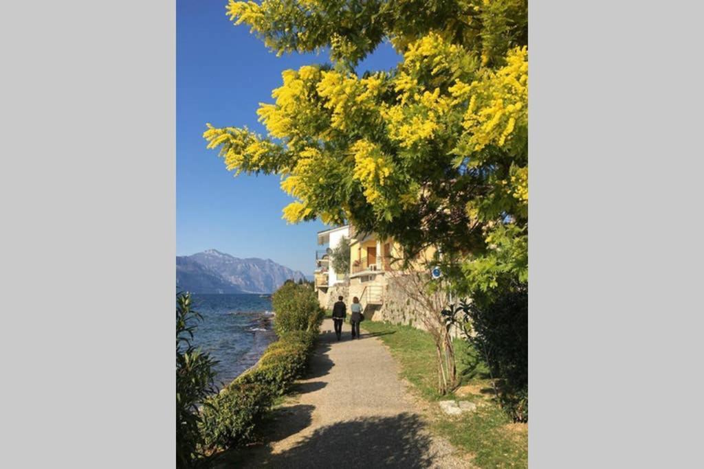 Villa Francesca-Grande Appartamento In Riva Al Lago Brenzone sul Garda Eksteriør billede
